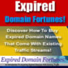 Thumbnail Expired Domain Fortunes - Make Money From Home